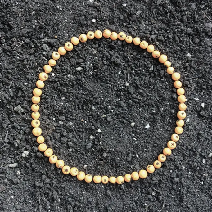 content-home-angebot-1